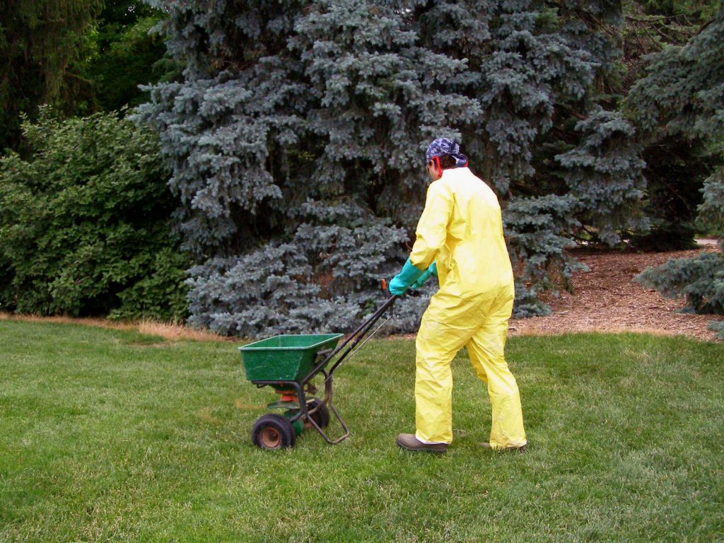 Tips for Landscaping the Yard