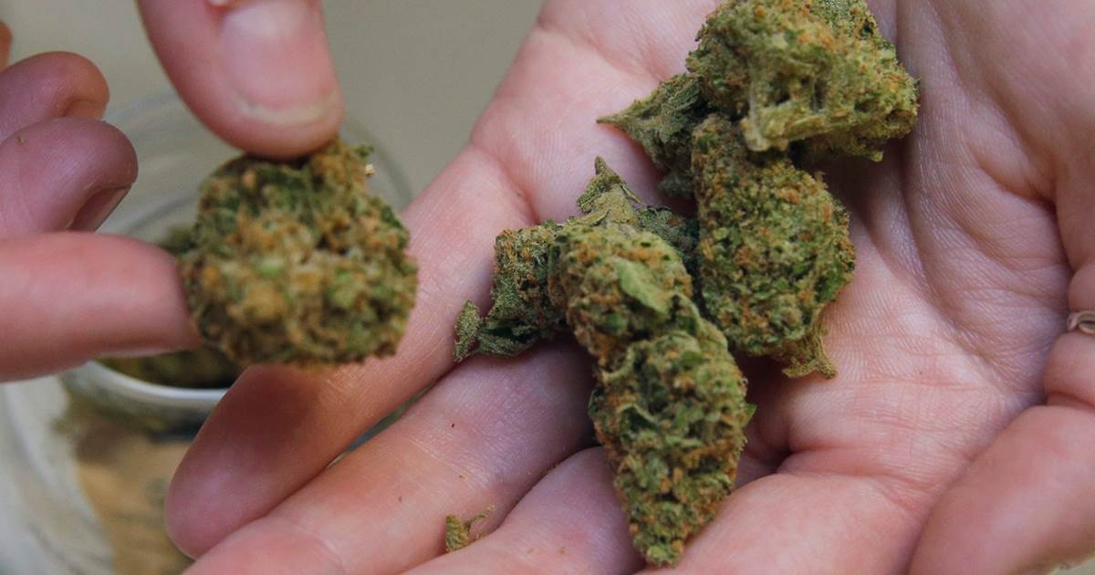 buy legal cannabis in Canada