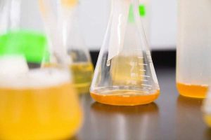 How Long Does the Best Synthetic Urine Stay Valid for Testing?