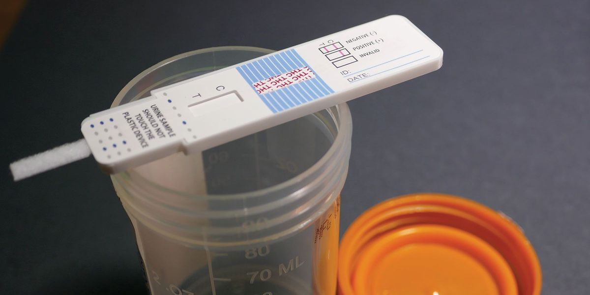 Navigating Drug Testing How Certo Can Help You Pass with Flying Colors